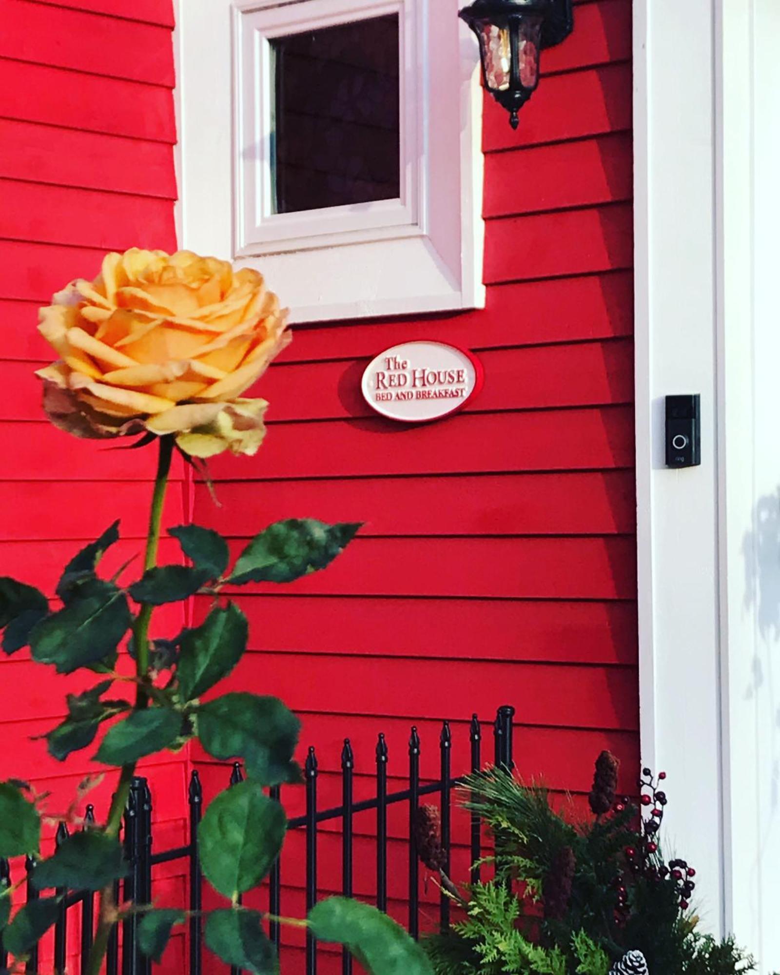 Bed and Breakfast The Red House Fredericton Esterno foto
